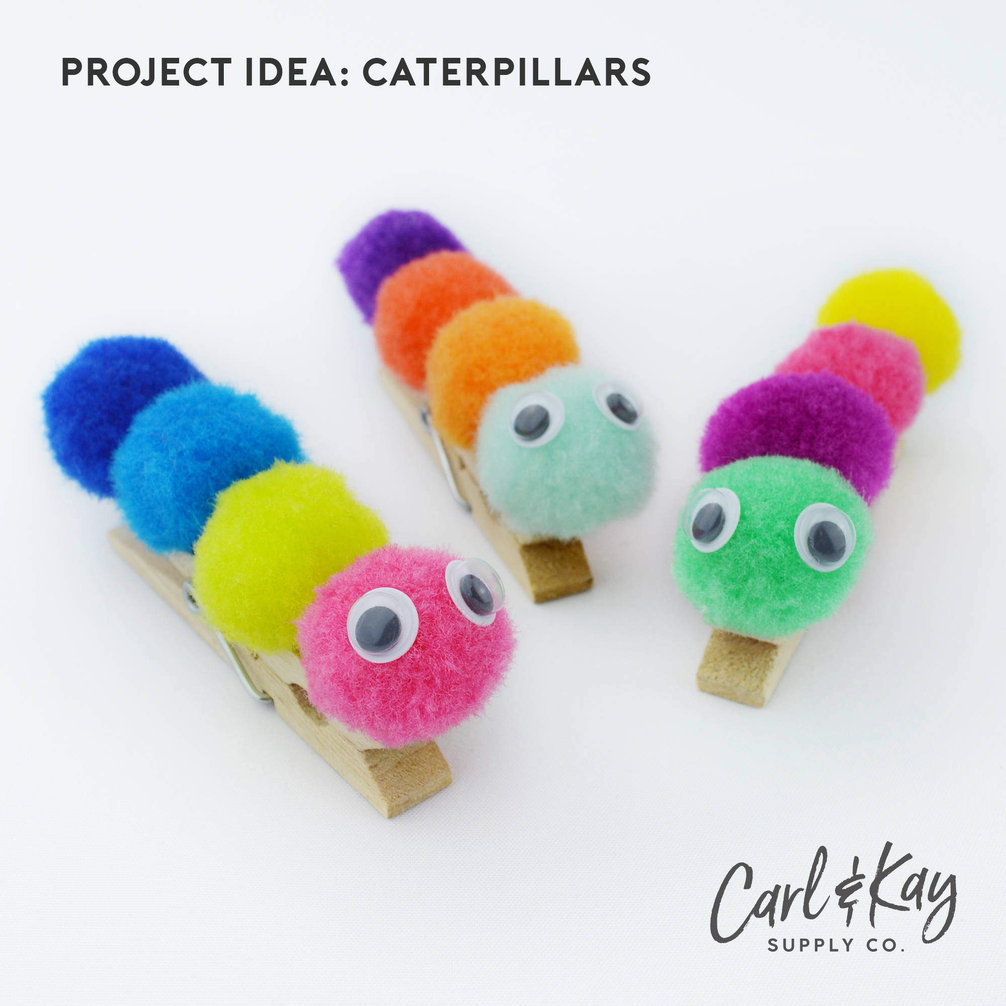 DSC_0939-Caterpillars